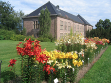 Tøyen museum park , Oslo