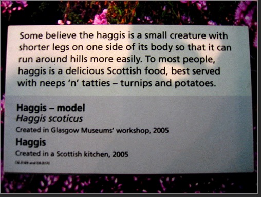 Kelvingrove Haggis 2